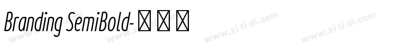 Branding SemiBold字体转换